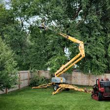 Artificial Turf Installation in La Grange, IL